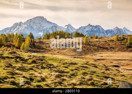 Valmalenco (IT) - Panorama-Herbstantenne von Alpe Prabello Stockfoto