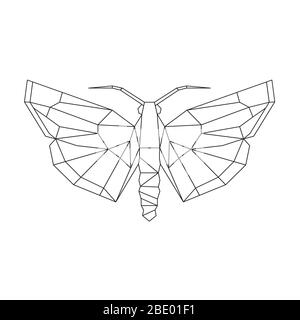 Vektor. Abstrakter polygonaler Schmetterling. Geometrischer linearer Schmetterling. Illustration Vektor EPS 10 Stock Vektor