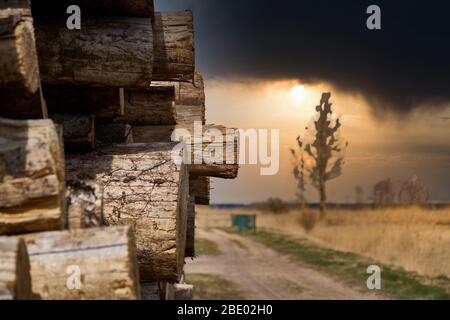 Natürlicher Holzhintergrund - Nahaufnahme von gehacktem Brennholz. Brennholz gestapelt und für den Winterhaufen aus Holzstämmen vorbereitet. Stockfoto