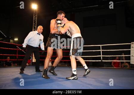 Zgorzelec Polen GBA Boxen Weltmeisterschaft 28092019 Stockfoto