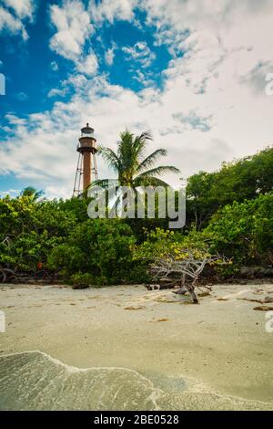 Historischer Leuchtturm am Muschelstrand mit Treibholz und Palmen in Sanibel Island Florida. Sonniger Tag mit grüner Vegetation. Keine Personen sichtbar. Stockfoto