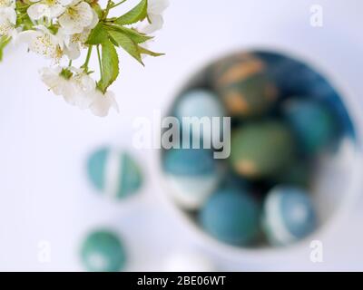 Ostereier mit einem roten Kohl natürliche Farbe auf einem weißen Hintergrund mit leeren Raum mit weißen Frühlingsblumen in einer hellblauen Schüssel verziert gefärbt. Stockfoto