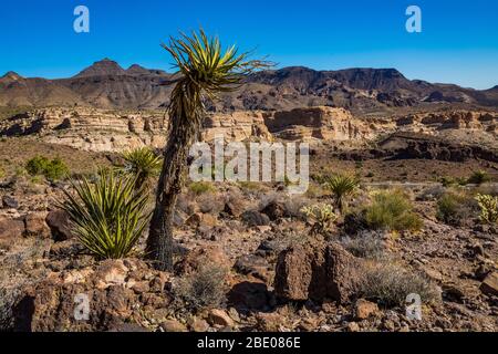 Wüstenlandschaft unterhalb des Sitgreaves Passes entlang der historischen Route 66 in Arizona, USA Stockfoto