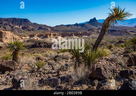 Wüstenlandschaft mit Yuccas unterhalb des Sitgreaves Passes entlang der historischen Route 66 in Arizona, USA Stockfoto