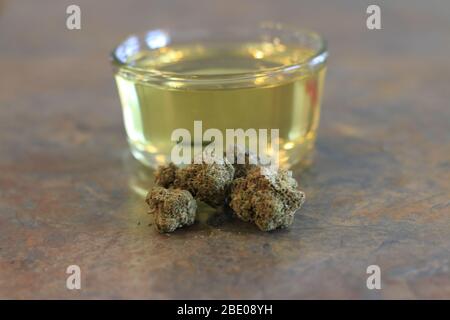 Marihuana und Olivenöl. Thema der Herstellung von Kannaöl Stockfoto