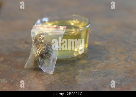 Marihuana und Olivenöl. Thema der Herstellung von Kannaöl Stockfoto