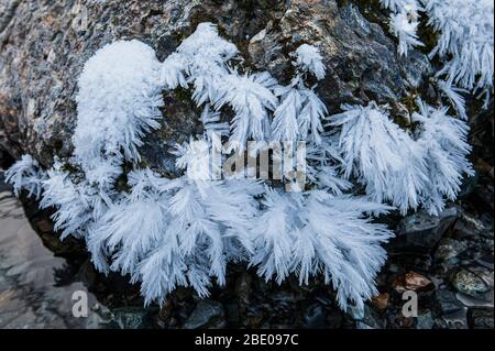Hoar Frost auf einem Felsen entlang eines Baches, Cascade Mountains, USA. Stockfoto