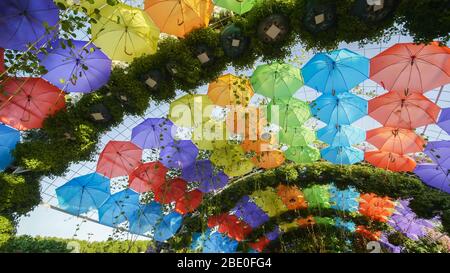 Mehrfarbige Sonnenschirme im Park der Stadt. Stockfoto