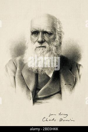 Charles Robert Darwin (Februar 12, 1809 - April 19, 1882) war ein englischer Naturforscher, Geologe und Biologe. Studien an der Universität von Cambridge ermutigt, seine Leidenschaft für die Naturwissenschaften. Durch die geographische Verteilung der wildlebenden Pflanzen und Tiere und Fossilien, die er auf die fünf gesammelt Verwirrt - Jahr reise auf der HMS Beagle, Darwin begann detaillierte Untersuchungen und 1838 konzipiert, seine Theorie der natürlichen Selektion. Obwohl er seine Ideen mit mehreren Naturforscher besprochen, er brauchte Zeit für umfangreiche Forschung und seine geologischen Arbeiten hatten Priorität. Er schrieb seine Theorie im Jahre 1858, als Alfred Russel Wallace Stockfoto