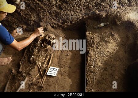 Mitglied des indonesischen Archäologieteams, das prähistorische Mongoloidskelette auf der Ausgrabungsstätte Gua Harimau in Sumatra, Indonesien aufräumte. Stockfoto