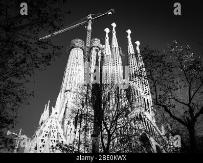 Monochromes Bild der Basilika La Sagra Familia aus dem Westen und von Bäumen eingerahmt Stockfoto