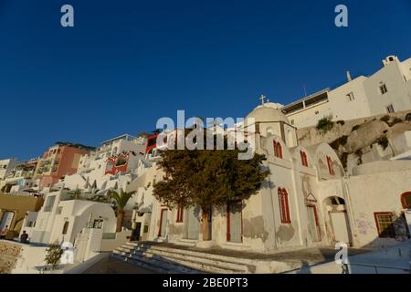 Weiße Kuppel Kirche und Olivenbaum in Fira, Santorini, Griechenland Stockfoto