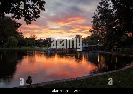 Ein verträumter Sonnenuntergang im Boston Public Garden Stockfoto