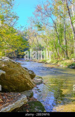 Lower Howard's Creek Nature and Heritage Preserve in der Bluegrass Gegend von Kentucky, USA Stockfoto