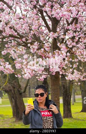 Riga, Lettland. April 2020. Eine Frau macht am 10. April 2020 ein Selfie mit Kirschblüten im Victory Park in Riga, Lettland. Kredit: Janis/Xinhua/Alamy Live News Stockfoto