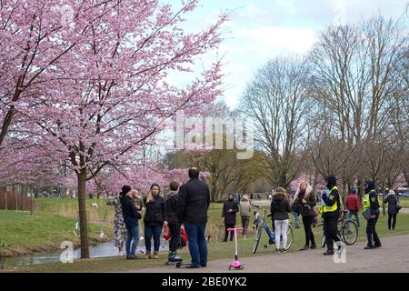 Riga, Lettland. April 2020. Am 10. April 2020 bewundern die Menschen die Kirschblüten im Siegespark in Riga, Lettland. Kredit: Janis/Xinhua/Alamy Live News Stockfoto