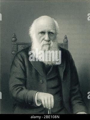 Charles Robert Darwin (Februar 12, 1809 - April 19, 1882) war ein englischer Naturforscher, Geologe und Biologe. Studien an der Universität von Cambridge ermutigt, seine Leidenschaft für die Naturwissenschaften. Durch die geographische Verteilung der wildlebenden Pflanzen und Tiere und Fossilien, die er auf die fünf gesammelt Verwirrt - Jahr reise auf der HMS Beagle, Darwin begann detaillierte Untersuchungen und 1838 konzipiert, seine Theorie der natürlichen Selektion. Obwohl er seine Ideen mit mehreren Naturforscher besprochen, er brauchte Zeit für umfangreiche Forschung und seine geologischen Arbeiten hatten Priorität. Er schrieb seine Theorie im Jahre 1858, als Alfred Russel Wallace Stockfoto