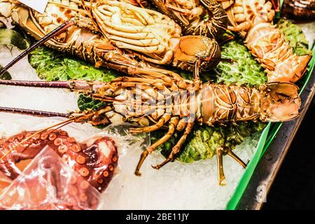 Nahaufnahme von Hummer und einem großen Tintenfisch auf Eis am Marktschalter in Barcelona Stockfoto
