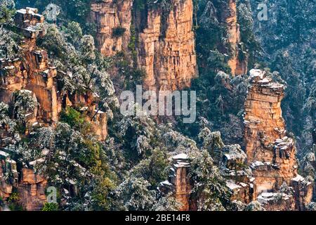 Schneebedeckte Waldbäume auf felsigen Bergklippen Stockfoto