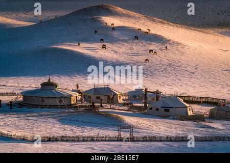 Mongolische Gers (Jurten) auf gefrorenem Schneefeld der Wüste Gobi, im Morgenlicht. Stockfoto