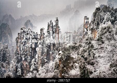 Schneebedeckte Felspfeiler des Zhangjiajie National Forest Park, Provinz Hunan, China. Stockfoto