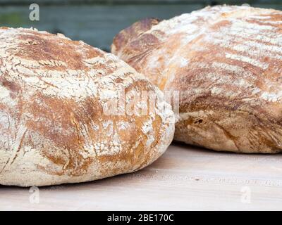 Zwei runde französische Boule-Brote Stockfoto