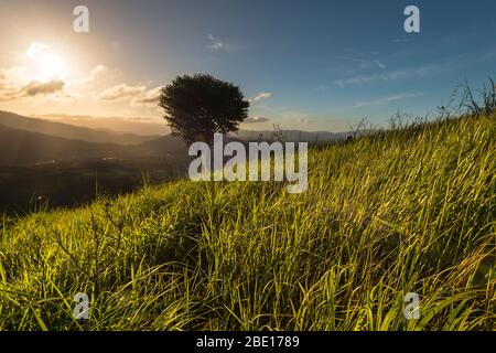 Sonnenaufgang am Broga Hill Park, Semenyih Selangor Stockfoto