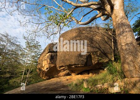 Vessagiri oder Issarasamanarama, ist ein altes buddhistisches Waldkloster mit Felsbrocken, die Teil der Ruinen von Anuradhapura ist, einer der alten Ca Stockfoto