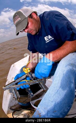 Ein EPA Auftragnehmer unter Sedimentproben im Golf von Mexiko während der Bereinigung der BP Oil Spill im Jahr 2010 Stockfoto