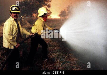 Zustand Feuerwehrmänner Wasser auf Wüste Brände mit Schläuchen während der 4-tägigen Panorama Bürste Feuer, die in Schluchten im Norden der Stadt begonnen und hat außer Kontrolle von 40-50 MPH Winde gepeitscht worden. Stockfoto