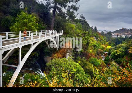 Touristische Frau in Hat an der weißen Brücke im Botanischen Garten mit Bäume im Herbst an bedeckt bewölkten Himmel in Tiflis, Georgien Stockfoto