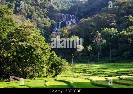 Rathna Ella ("Feld der Edelsteine"), mit 111 Metern, ist der 14. Höchste Wasserfall in Sri Lanka, in Hasalaka, Kandy District. Stockfoto