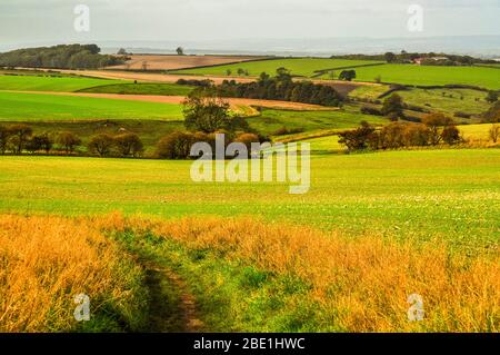 Felder auf Wharram Percy Wold mit Pfad, der zum Wharram Percy verlassenen mittelalterlichen Dorf in den Yorkshire Wolds führt Stockfoto