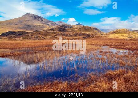 Pools bei Damas Dubs in Upper Eskdale im englischen Seengebiet mit Blick auf die Gipfel von Slight Side, Scafell, Scafell Pike und Ill Crag Stockfoto