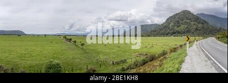 Landschaft mit Highway 6 Biegung in grüner Landschaft, aufgenommen im hellen Frühling bewölktes Licht in der Nähe von Whataroa, Westküste, Südinsel, Neuseeland Stockfoto