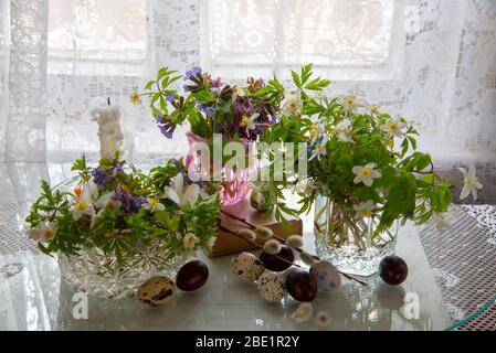 Mehrere Vasen mit Frühlingsblumen und Ostereiern auf hellem Hintergrund. Stockfoto