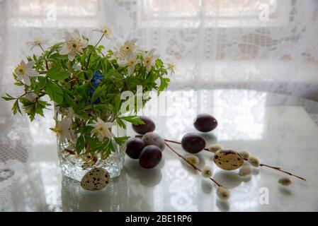 Weißer Wald Frühlingsblumen in einem Glas, Ostereier Wachtel und Weidenzweige auf dem Hintergrund von Spitzen Vorhänge. Stockfoto