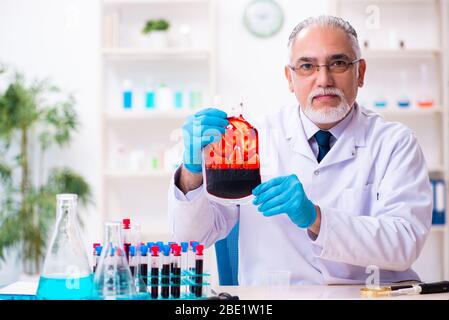 Der alte, im Labor arbeitende Chemiker Stockfoto