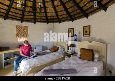 Frau sitzt auf dem Bett lesen Safari Broschüre in einem Reetdach Rondavel Unterkunft im Kruger National Park Südafrika Stockfoto