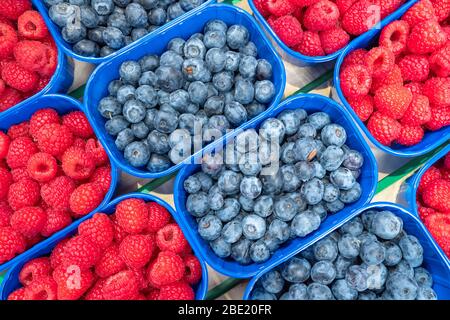 Heidelbeeren und Himbeeren in blauen Kisten auf dem Lebensmittelmarkt. Stockfoto
