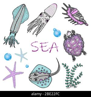 Set von Meerestieren. Skat, Tintenfisch, Schildkröte, Seesterne und Muschel. Stock Vektor