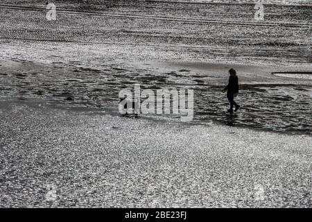 Frau, die bei Ebbe einen Hund am Strand spazieren geht, Margate Harbour, Kent, Großbritannien Stockfoto