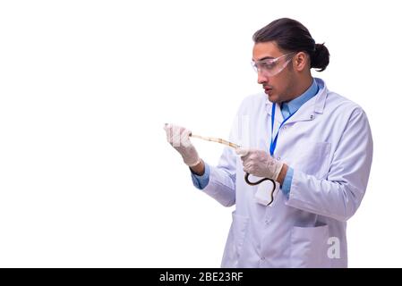 Der junge Mann Zoologe mit Schlange isoliert auf weißem Stockfoto