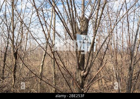 Kein Jagdschild auf Baum im Wald getackt Stockfoto