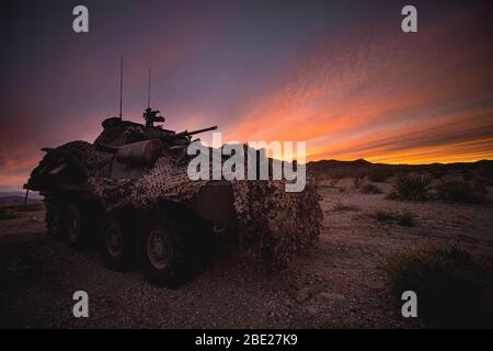 Ein leichtes Panzerfahrzeug-25 mit Firma C, 3. Leichtes Panzeraufklärungsbataillon, 1. Marine Division, wird verwendet, um eine Position während einer Marine Corps Combat Readiness Evaluation (MCCRE) im Marine Corps Air Ground Combat Centre Twentynine Palms, Kalifornien, 31. März 2020 zu sichern. Die MCCRE wird verwendet, um Marineinfanteristen vor ihrem bevorstehenden Einsatz formell über ihre Kampfbereitschaft zu bewerten. (USA Marine Corps Foto von CPL. Corey A. Mathews) Stockfoto