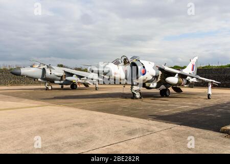 Flottenarm Seekarrier FA2 und Royal Air Force BAE Harrier GR3 in Arctic Camo-Farbgebung stehen nebeneinander Stockfoto