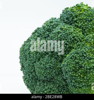 Nahaufnahme des Brokkoli auf weißem Hintergrund isoliert Stockfoto