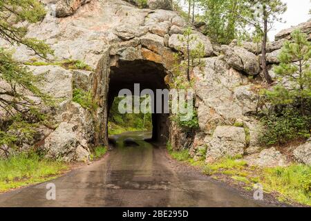 Iron Creek Tunnel - EIN schmaler Tunnel auf einer Straße im Wald an einem regnerischen Tag. Stockfoto