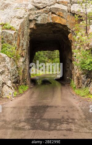 Iron Creek Tunnel - EIN schmaler Tunnel auf einer Straße im Wald an einem regnerischen Tag. Stockfoto