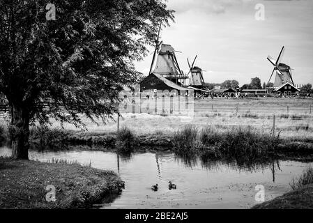 Amsterdam Zaandam. Niederlande. Europa. Waterland Bezirk die berühmte Gegend der Mühlen. Stockfoto